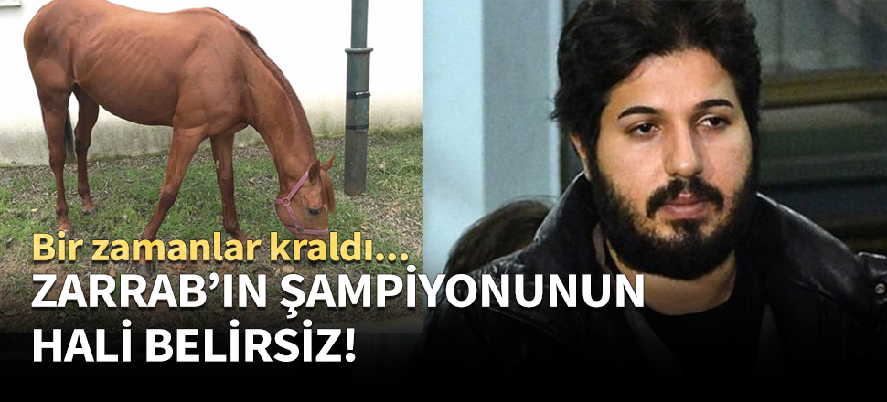 Reza Zarrab'ın atı kuru samana kaldı