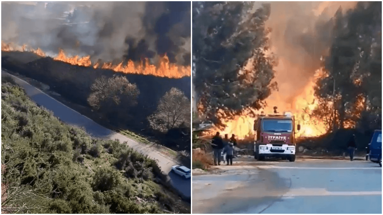 Antalya'da sazlık alanda korkutan yangın! Yerleşim yerlerini tehdit ediyor...