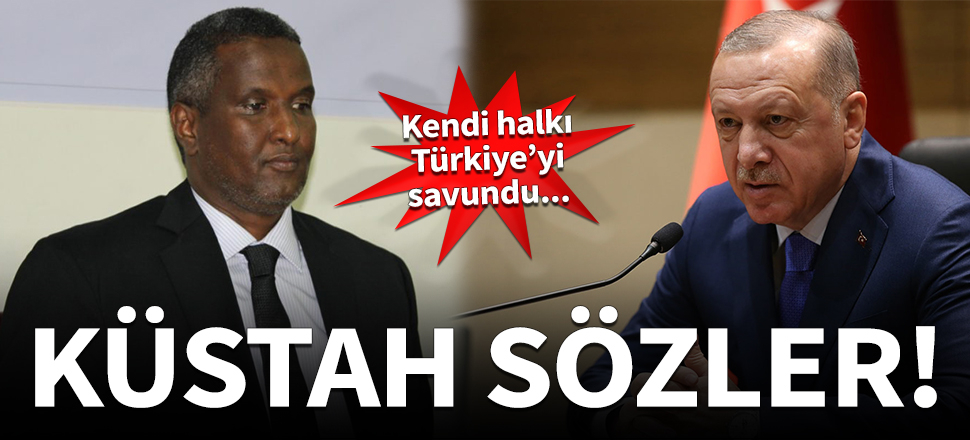 Türkiye'ye küstah sözler! Kendi halkı cevabını verdi...