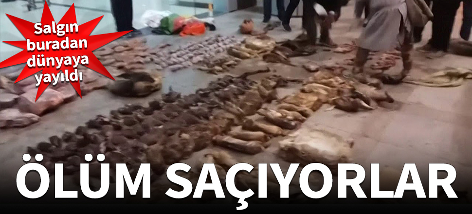 Ölümcül salgın buradan yayıldı