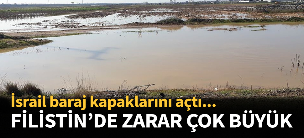Filistinli çiftçiler 350 bin dolar zarara uğradı!