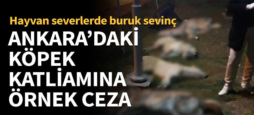 Ankara'daki köpek vahşetine 10'ar yıl hapis