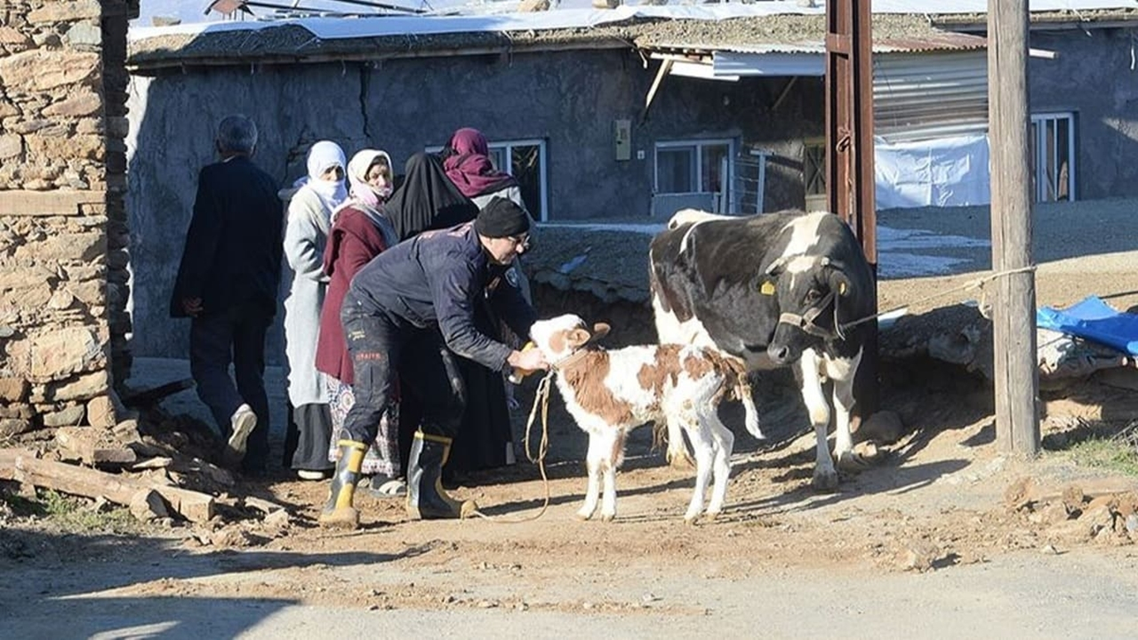 Depremde hayvanları telef olan vatandaşlara destek...
