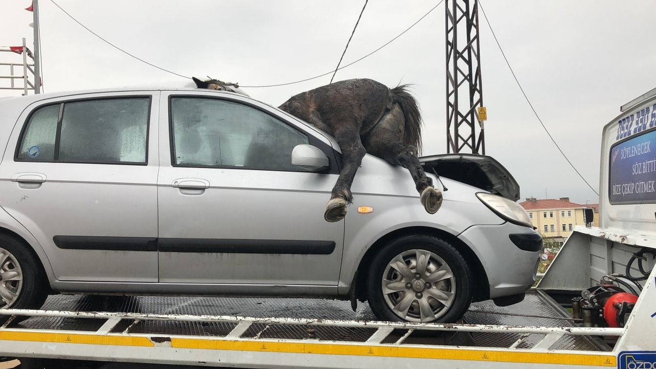 İstanbul'da feci kaza! At aracın ön camından girdi