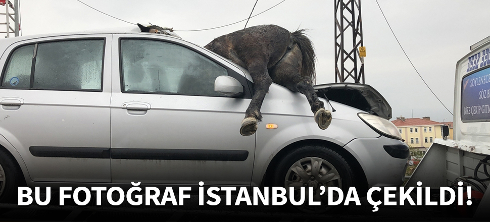 İstanbul'da feci kaza! At aracın ön camından girdi