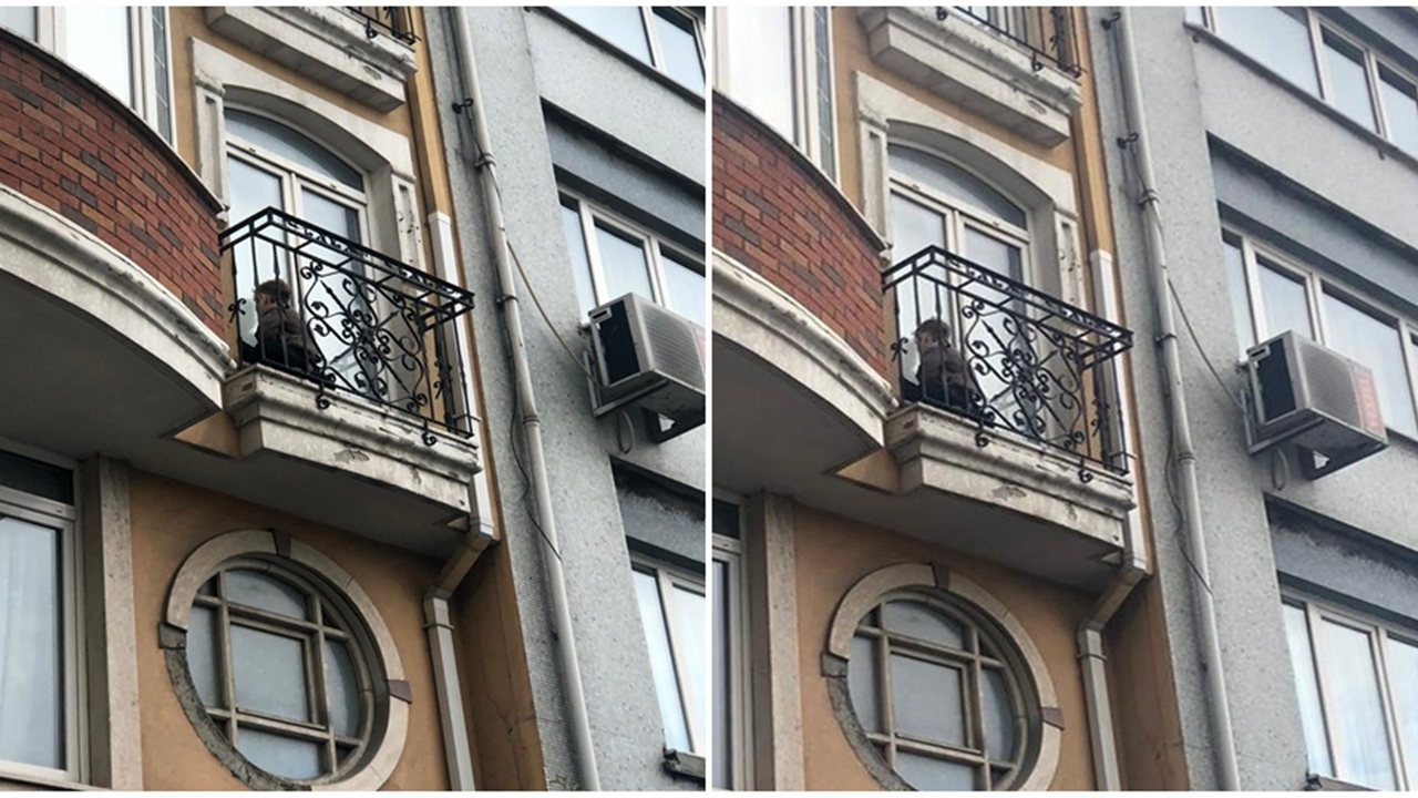 Şişli'de mucize kurtuluş...