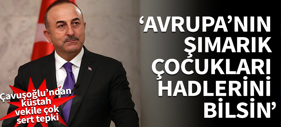 Çavuşoğlu'ndan Yunan vekile tepki: Haddini bilsin