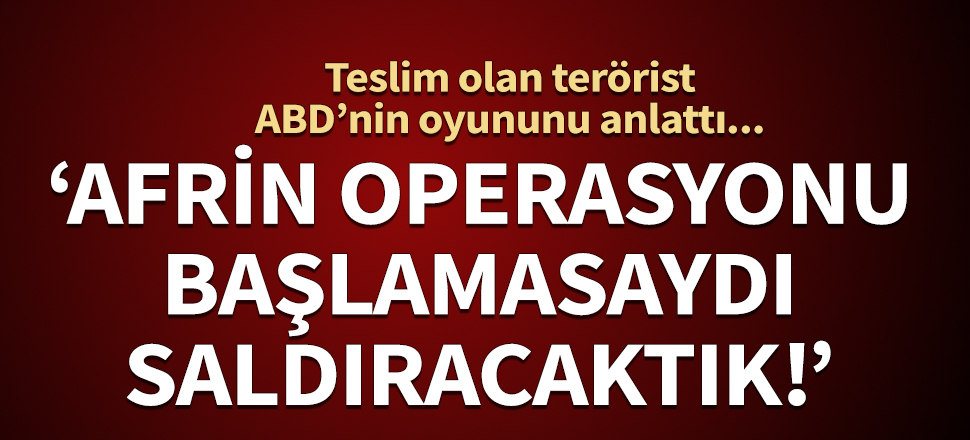 Teslim olan terörist ABD’nin oyununu anlattı...