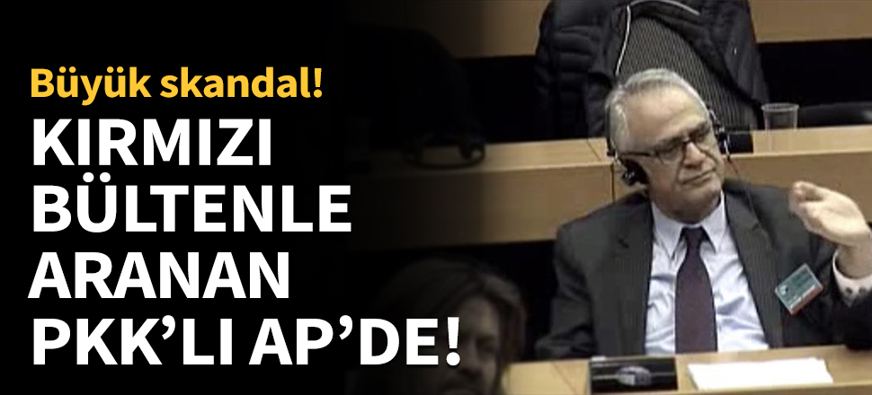 Kırmızı bültenle aranan PKK'lılar AP'de ortaya çıktı...