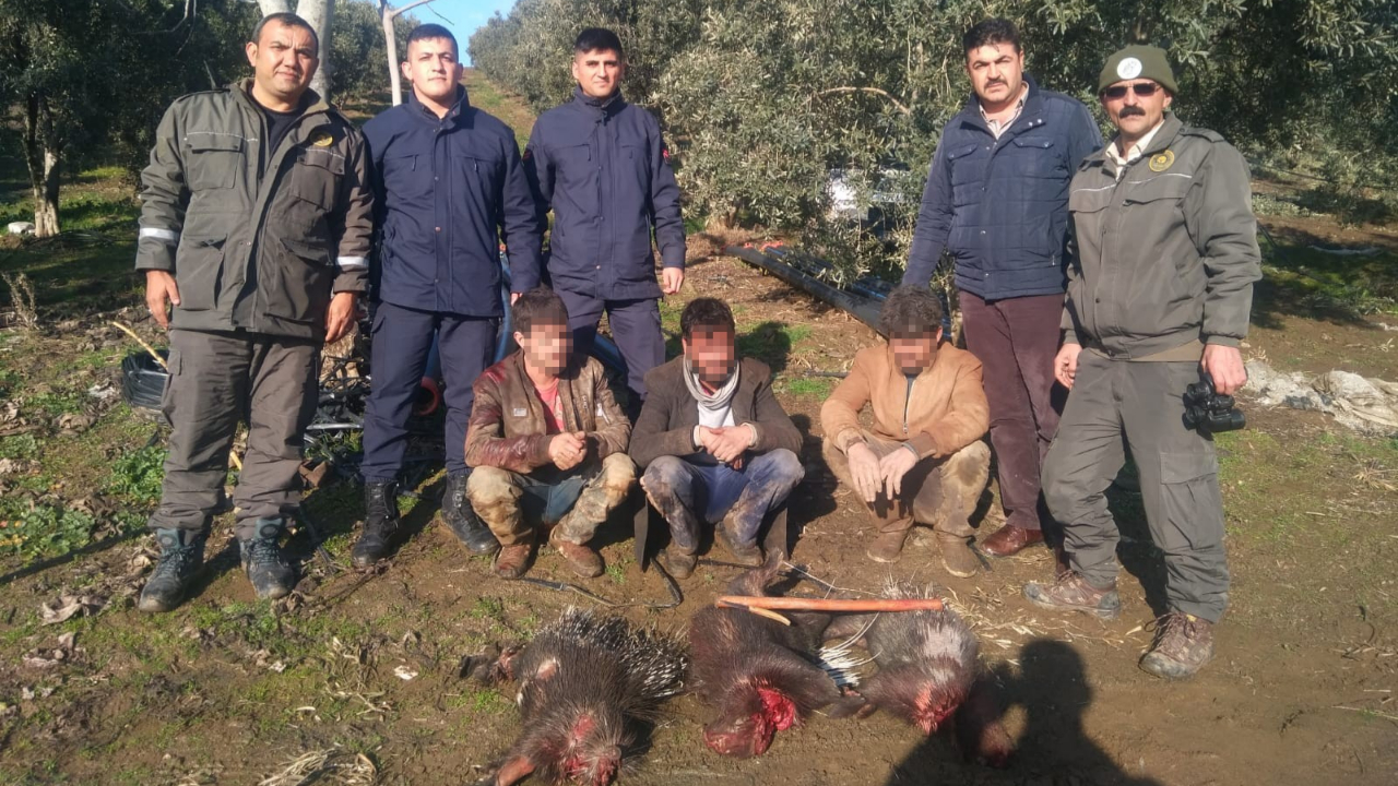 Koruma altındaki kirpileri avlayanlara rekor ceza