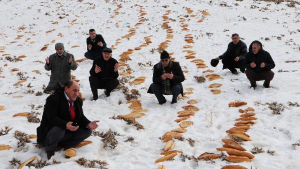 2001 tane ekmeği ormana bırakıp dua ettiler