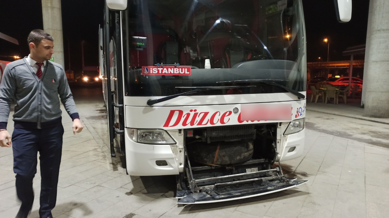 Düzce'de panik anları! "Pitonumu bulamadım" deyip geri döndü