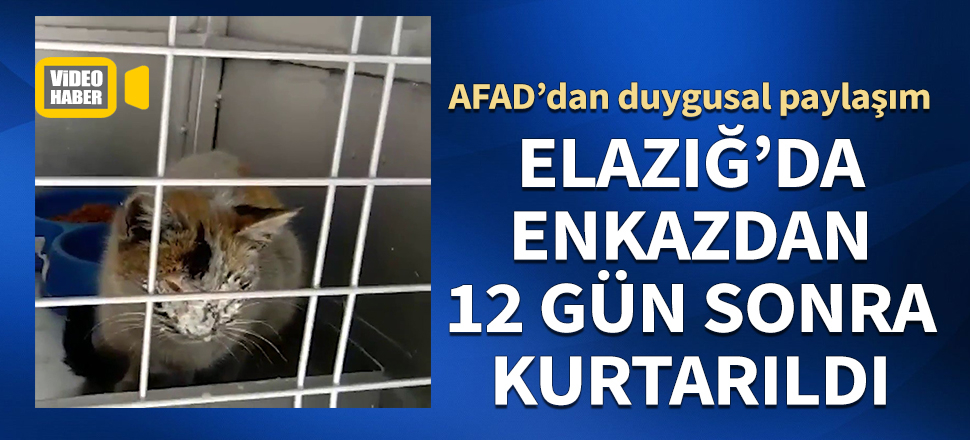 Enkazdan 12 gün sonra kurtarıldı! AFAD'dan duygusal paylaşım...