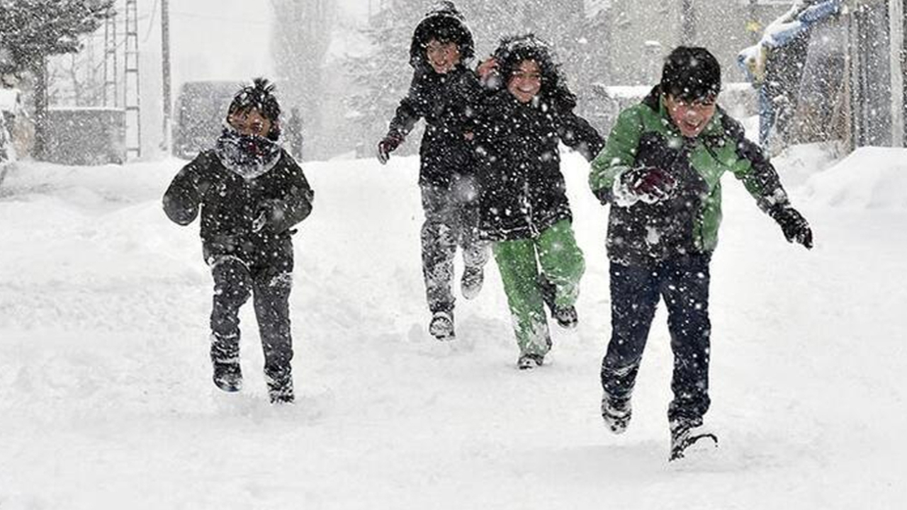 Rize ve Trabzon'da eğitime kar engeli
