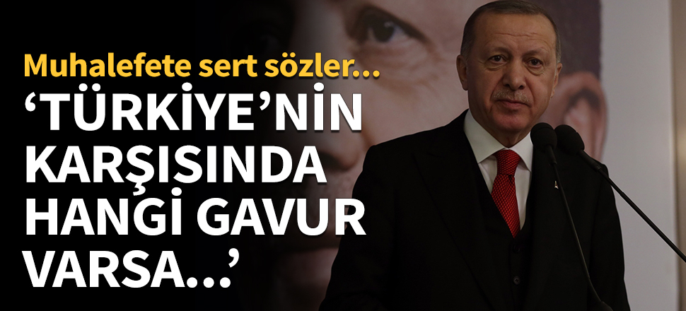 Erdoğan: Türkiye'nin karşısında hangi gavur varsa...