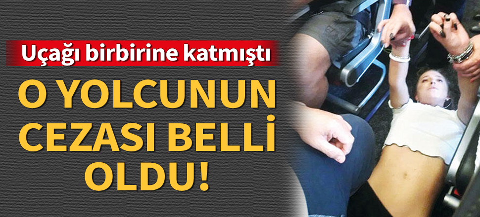 Dalaman uçağını birbirine katan yolcunun cezası belli oldu