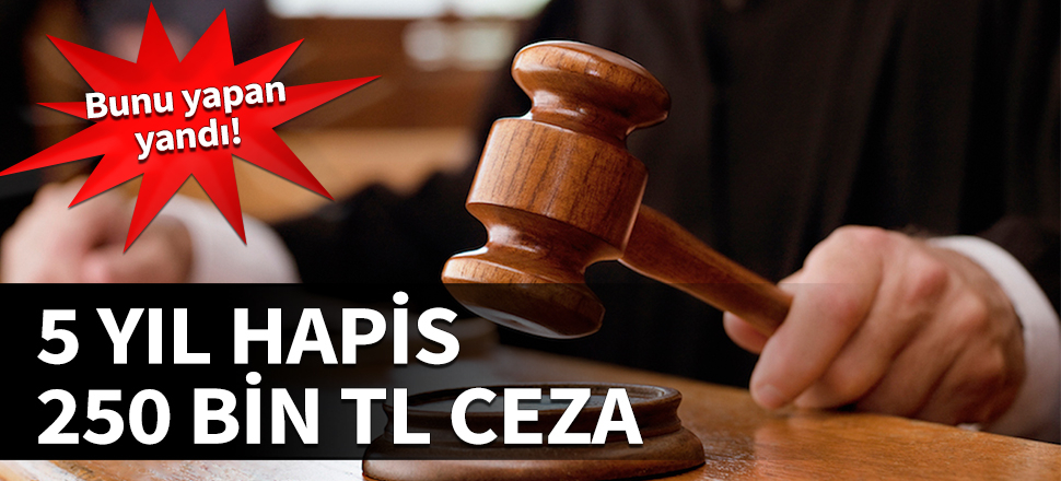 Bunu yapan yandı! 5 yıl hapis, 250 bin TL ceza...