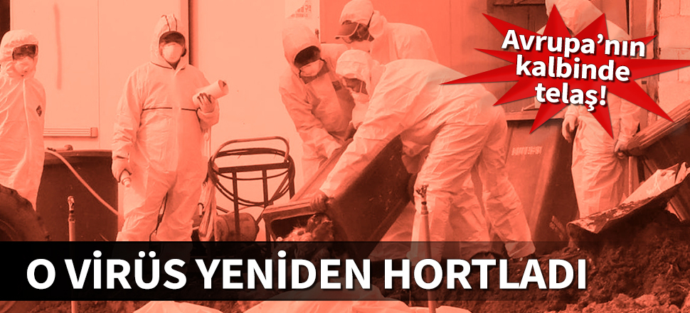Avrupa'nın kalbinde kuş gribi yeniden hortladı
