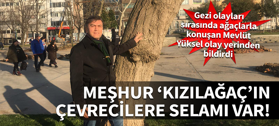 Mevlüt Yüksel olay yerinden bildirdi: Meşhur 'kızılağaç'ın çevrecilere selamı var