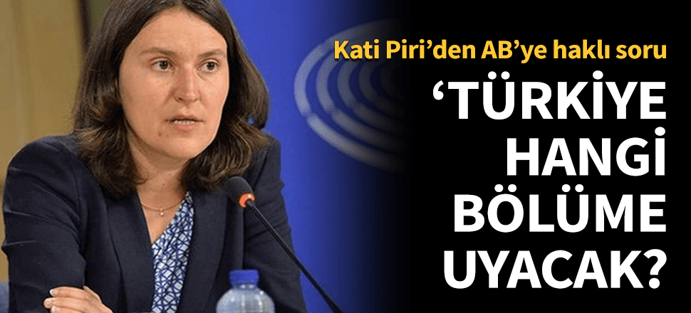 Eski AP Türkiye Raportörü'nden AB'ye tepki!