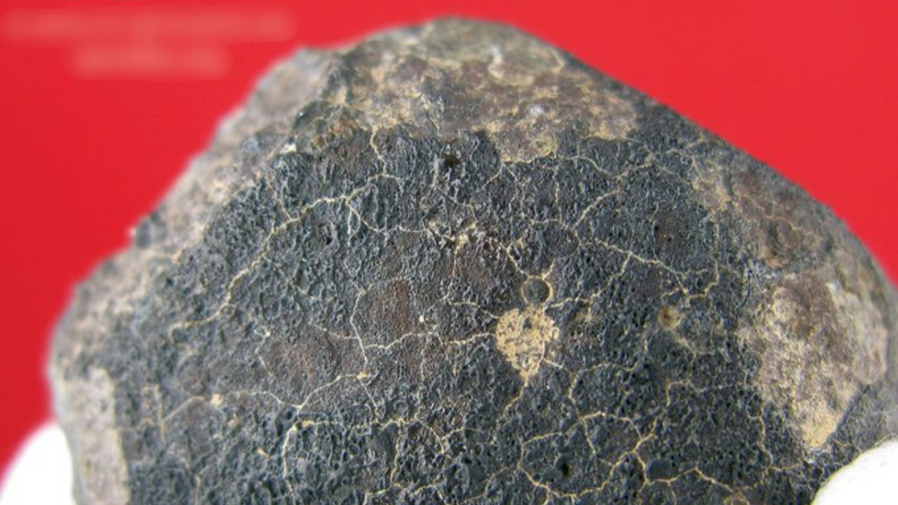 Cezayir'e düşen meteorda uzaylı protein bulundu...