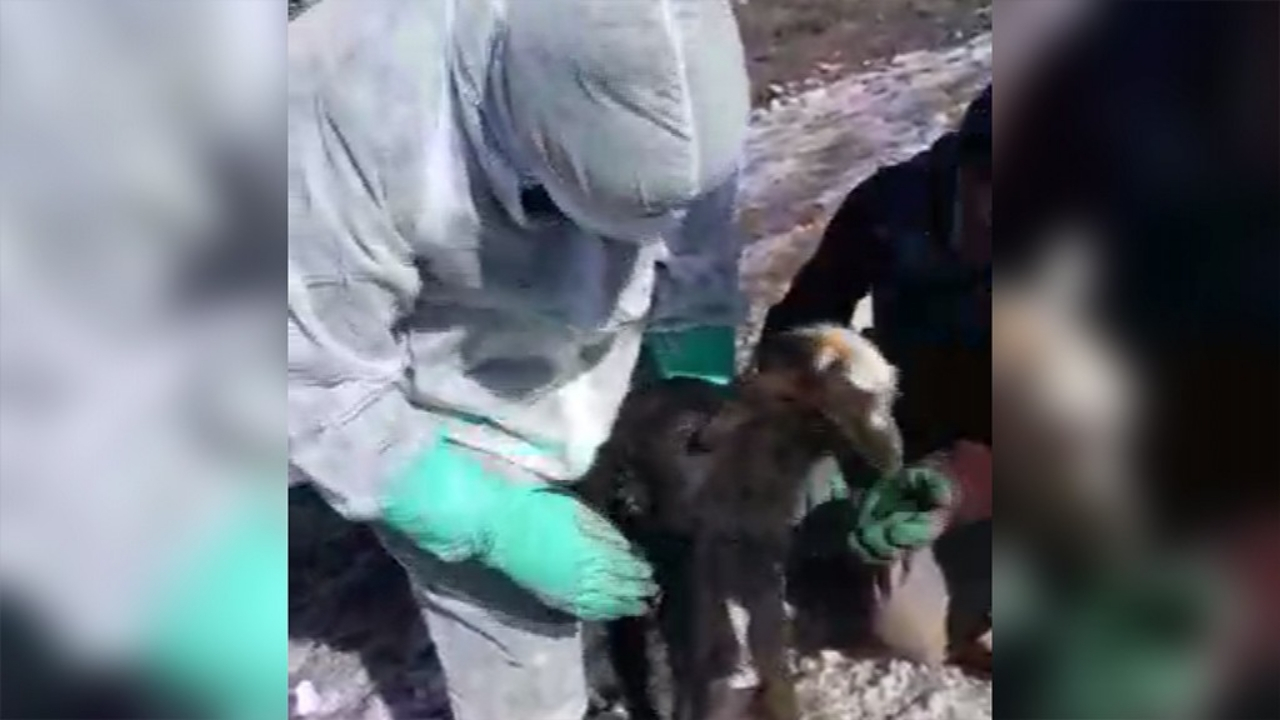 Günler sonra enkazdan canlı olarak çıkarıldı
