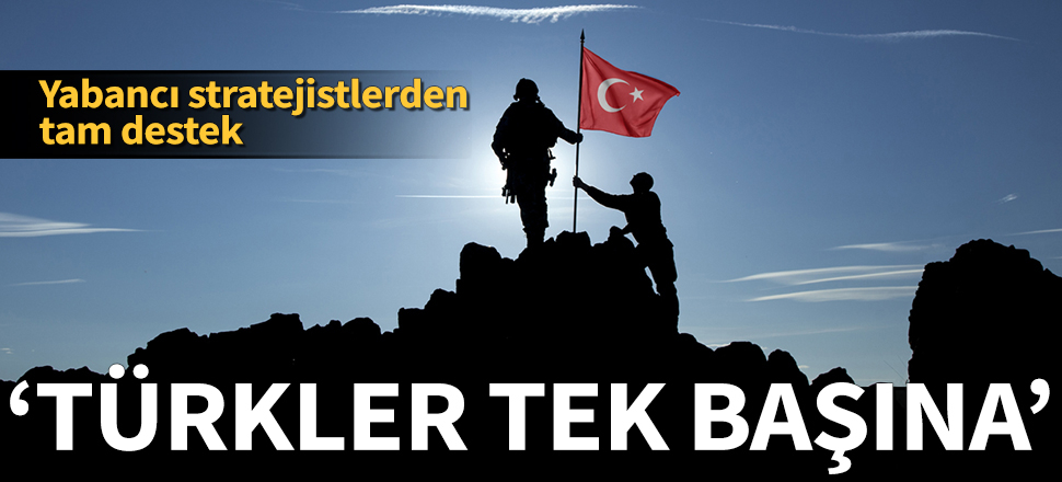 Yabancı stratejistlerden Türkiye'ye tam destek: Tek başına karşı çıkıyor
