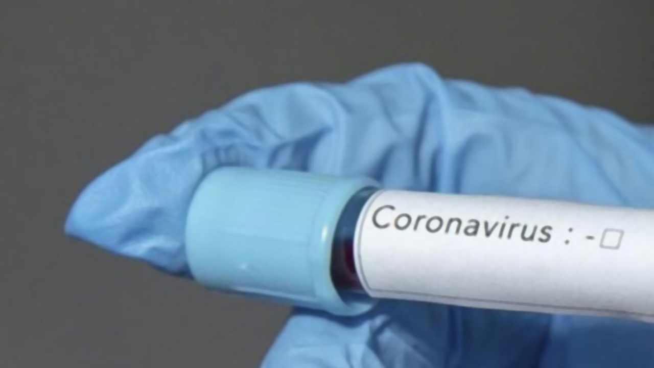 Bosna Hersek ve Slovenya'da ilk koronavirüs (Kovid-19) vakaları