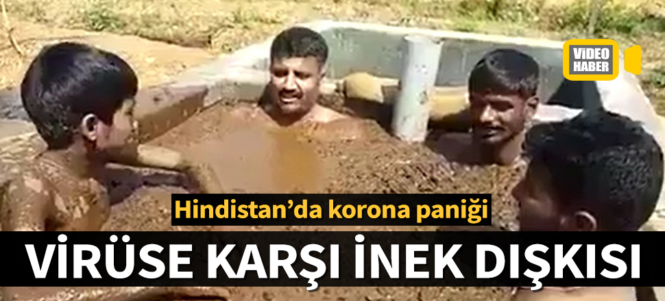 Hindistan'da korona paniği: İnek dışkısında duş aldılar