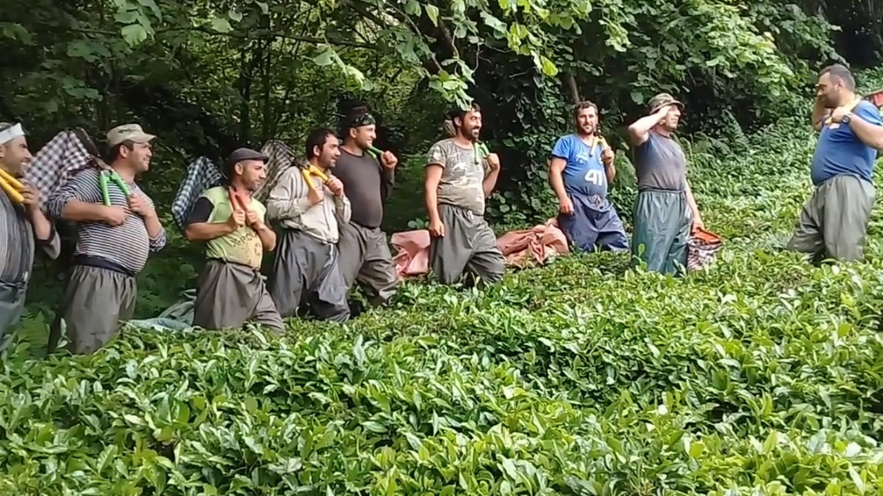 Rizelinin korona virüs sendromu! İş başa düştü...