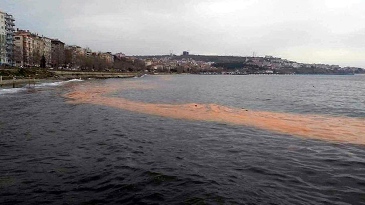Tekirdağ'da deniz turuncu renge büründü