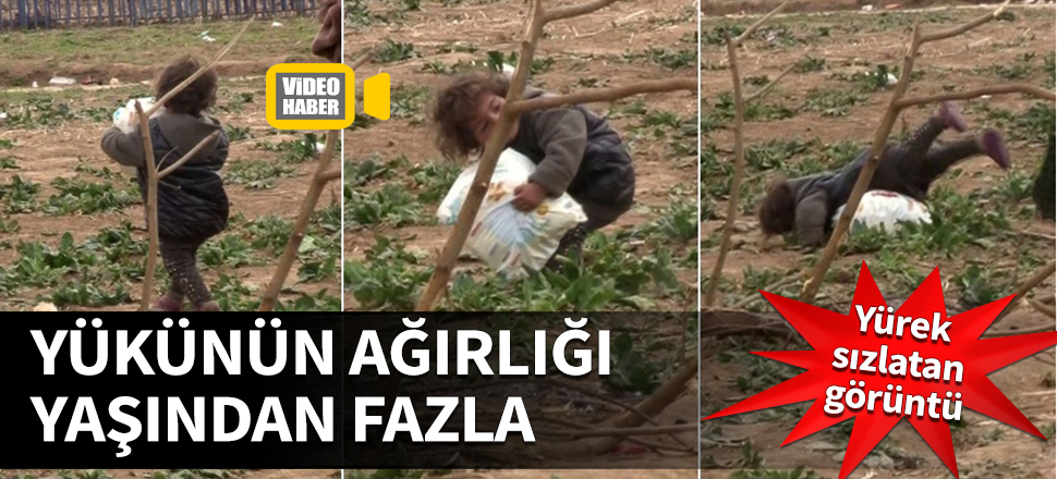 Yükünün ağırlığı yaşından fazla! Yürek sızlatan görüntü...