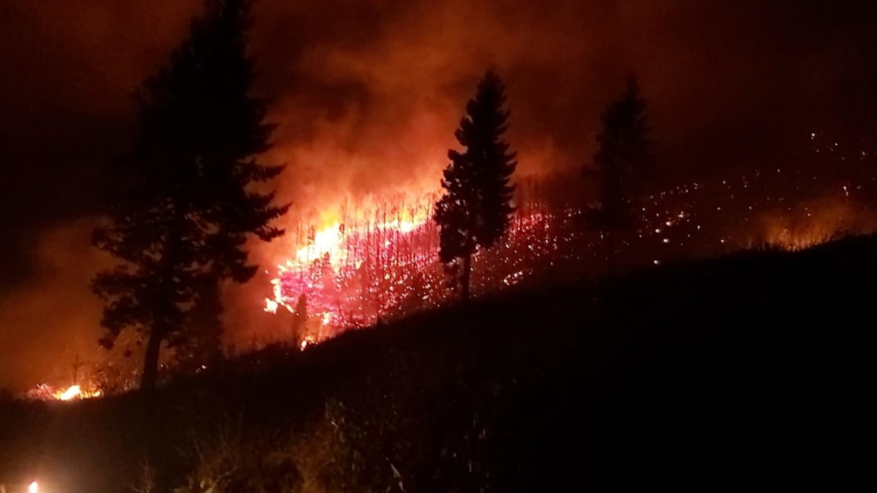 Trabzon'da iki ayrı noktada orman yangını!