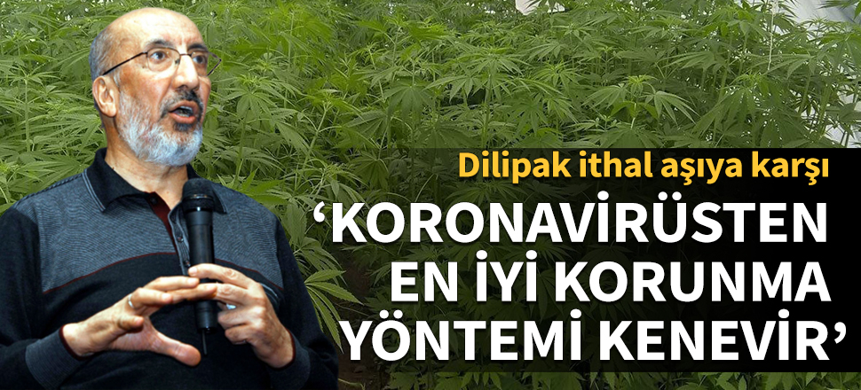 Dilipak ithal aşıya karşı: Koronavirüsten en iyi korunma yöntemi kenevir