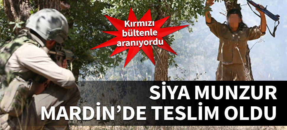 Siya Munzur Mardin'de teslim oldu! Kırmızı bültenle aranıyordu...