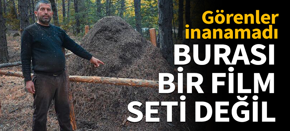 Burası bir film seti değil! Görenler inanamadı