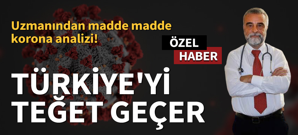 Prof. Osman Erk: Koronavirüs Türkiye'yi teğet geçer!