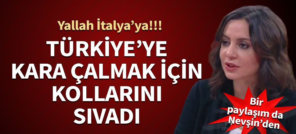 Aslı Aydıntaşbaş Türkiye'ye kara çalmak için kollarını sıvadı