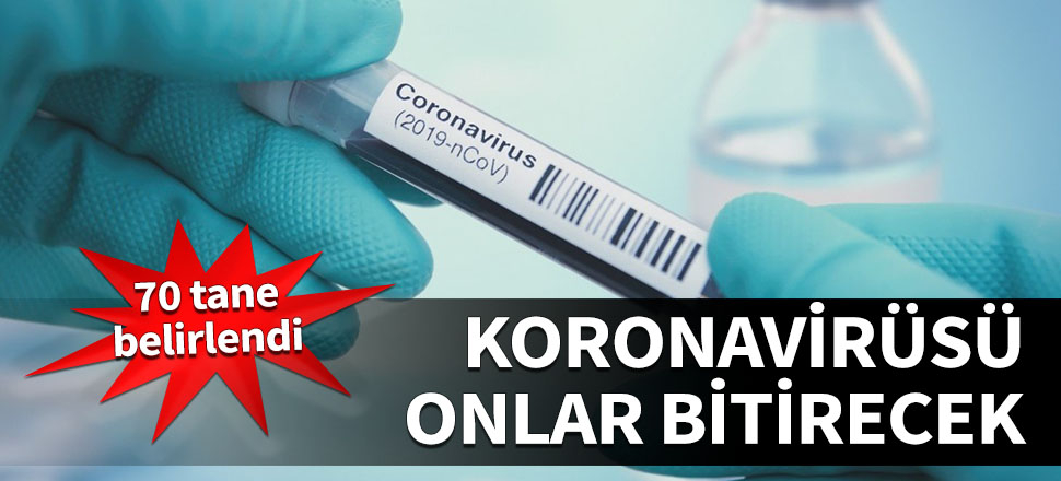 Koronavirüsü onlar bitirecek! 70 tane belirlendi...