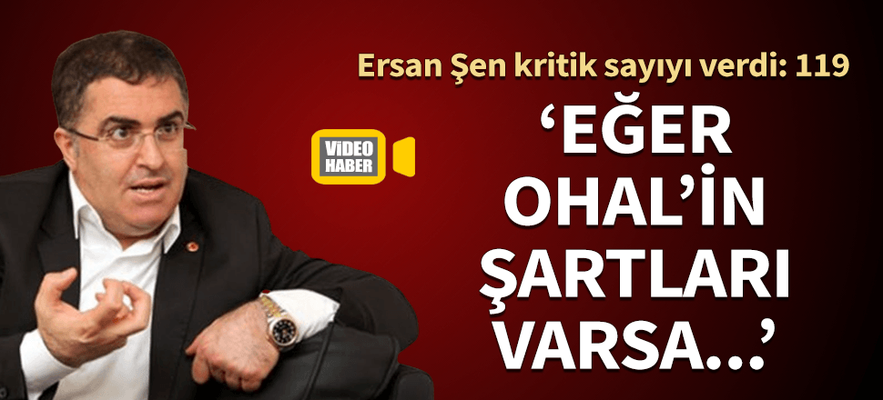 Ersan Şen'den OHAL için 119. madde hatırlatması!
