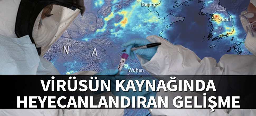 Virüsün kaynağı Wuhan'da heyecanlandıran gelişme
