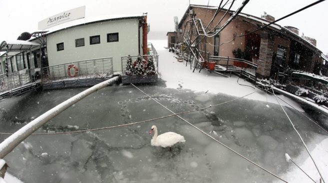 -20 Derecede iki gün hayatta kaldı