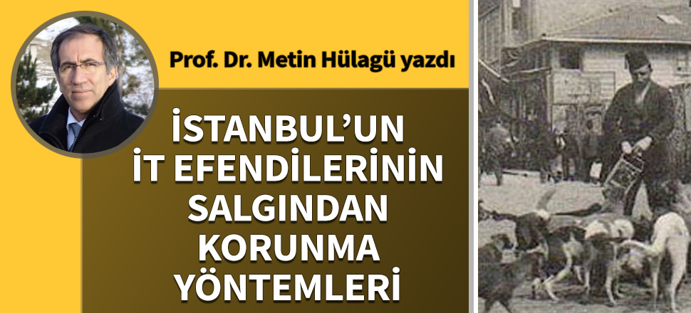 İstanbul’un İt Efendilerinin salgından korunma yöntemleri