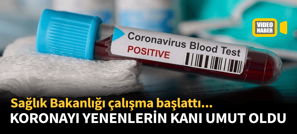 Bakanlık devrede! Koronayı yenenlerin kanı umut oldu