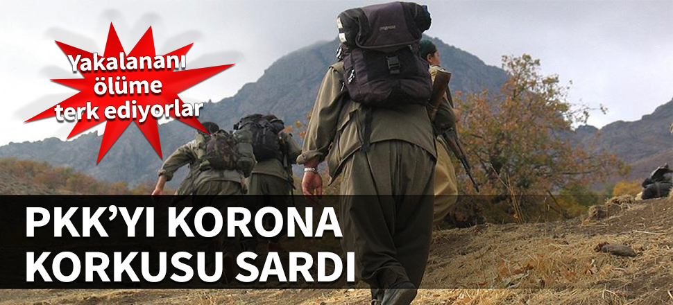 PKK'yı korona korkusu sardı! Yakalananı ölüme terk ediyorlar