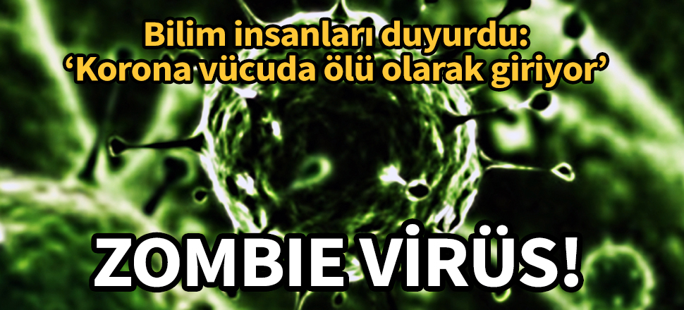 Bilim insanları açıkladı: Koronavirüs hücrelere ölü olarak giriyor
