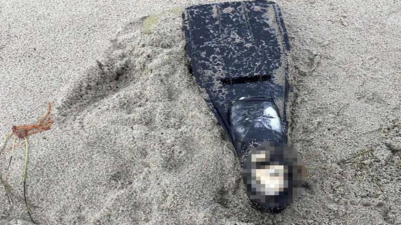 Son dakika... Sahilde şok görüntü! Yüzücü paletinde ayak kemikleri bulundu