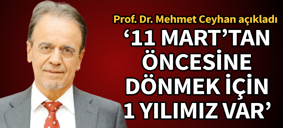 Prof. Dr. Mehmet Ceyhan: 11 Mart'tan öncesine dönmek için 1 yılımız var