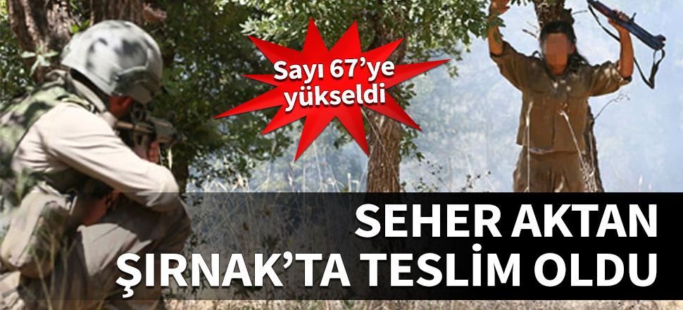 Terörist Seher Aktan Şırnak'ta teslim oldu