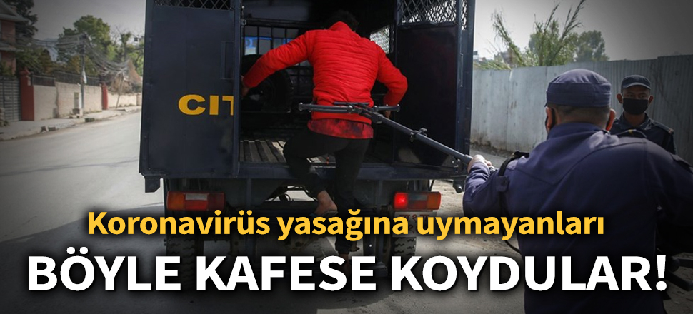 Son dakika... Koronavirüs yasağına uymayanları kafese koydular (Corona, Covid-19, Kovid-19)